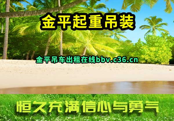 金平起重吊装