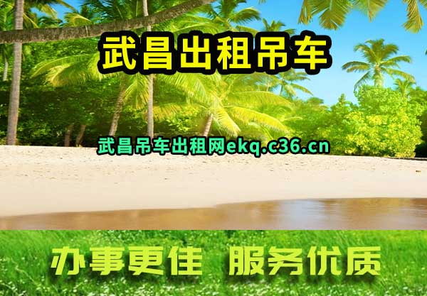 武昌出租吊车
