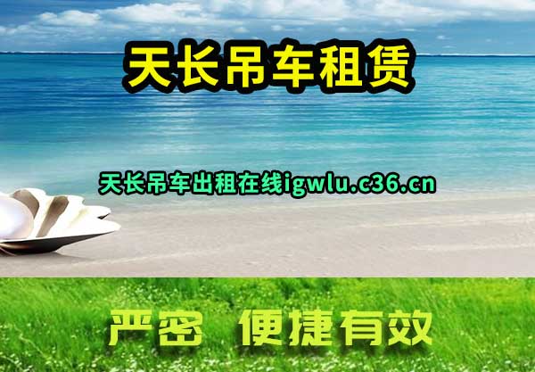 쳤