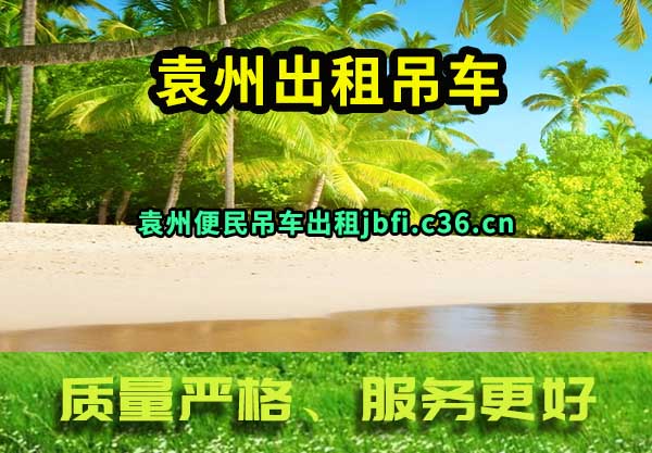 袁州出租吊车