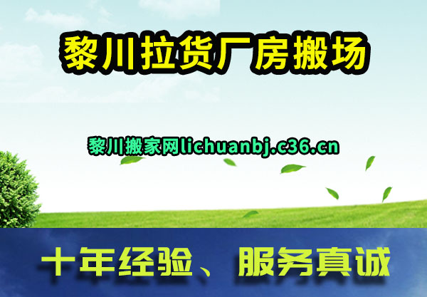 质᳡