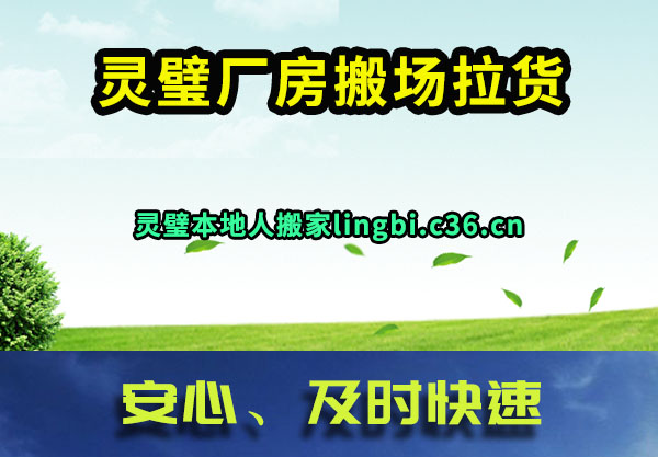 赳᳡