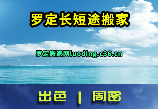 ޶;