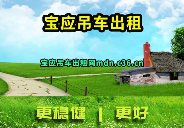 宝应吊车出租