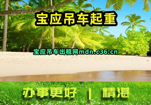 宝应吊车起重