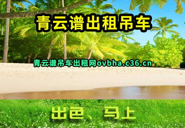 青云谱出租吊车
