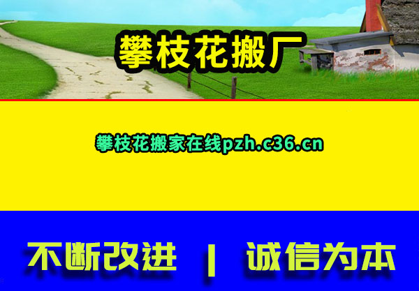 ᳧֦