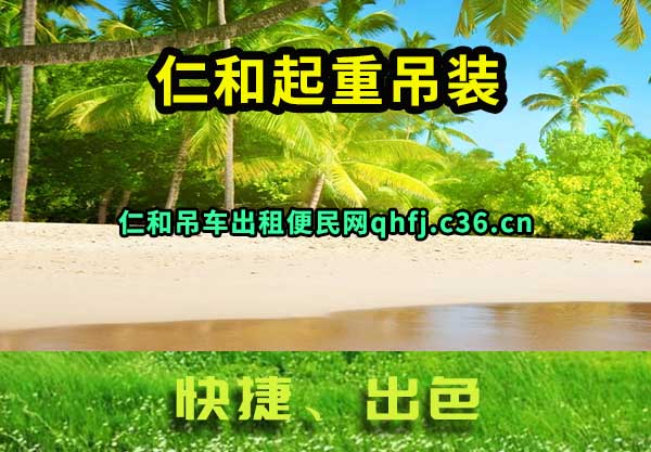 仁和起重吊装