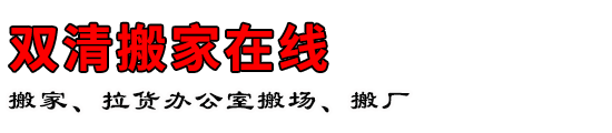 ˫